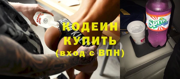 прущий лед Богданович