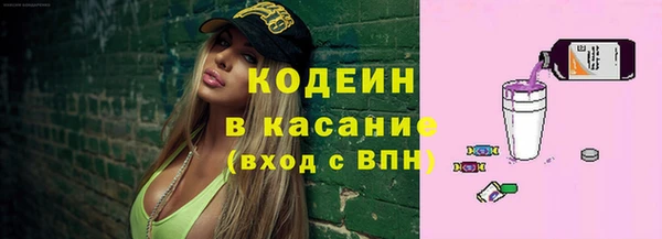 прущий лед Богданович