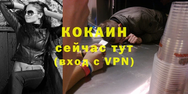 дмт Богородицк